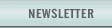 Quick Link to our newsletter, the Holocaust Warning Center - Countdown